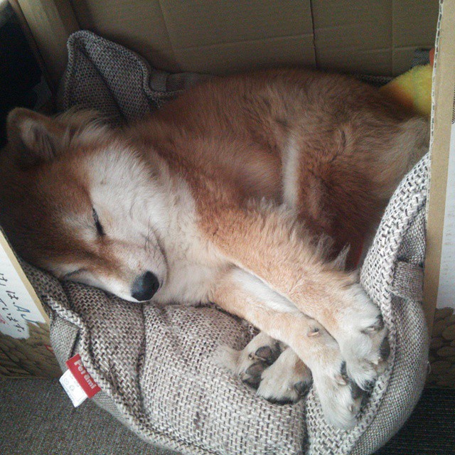 开云体育2026-一剑封喉！奥亚尔萨瓦尔大场面先生本色，南非斩落威尔士赢得尊重