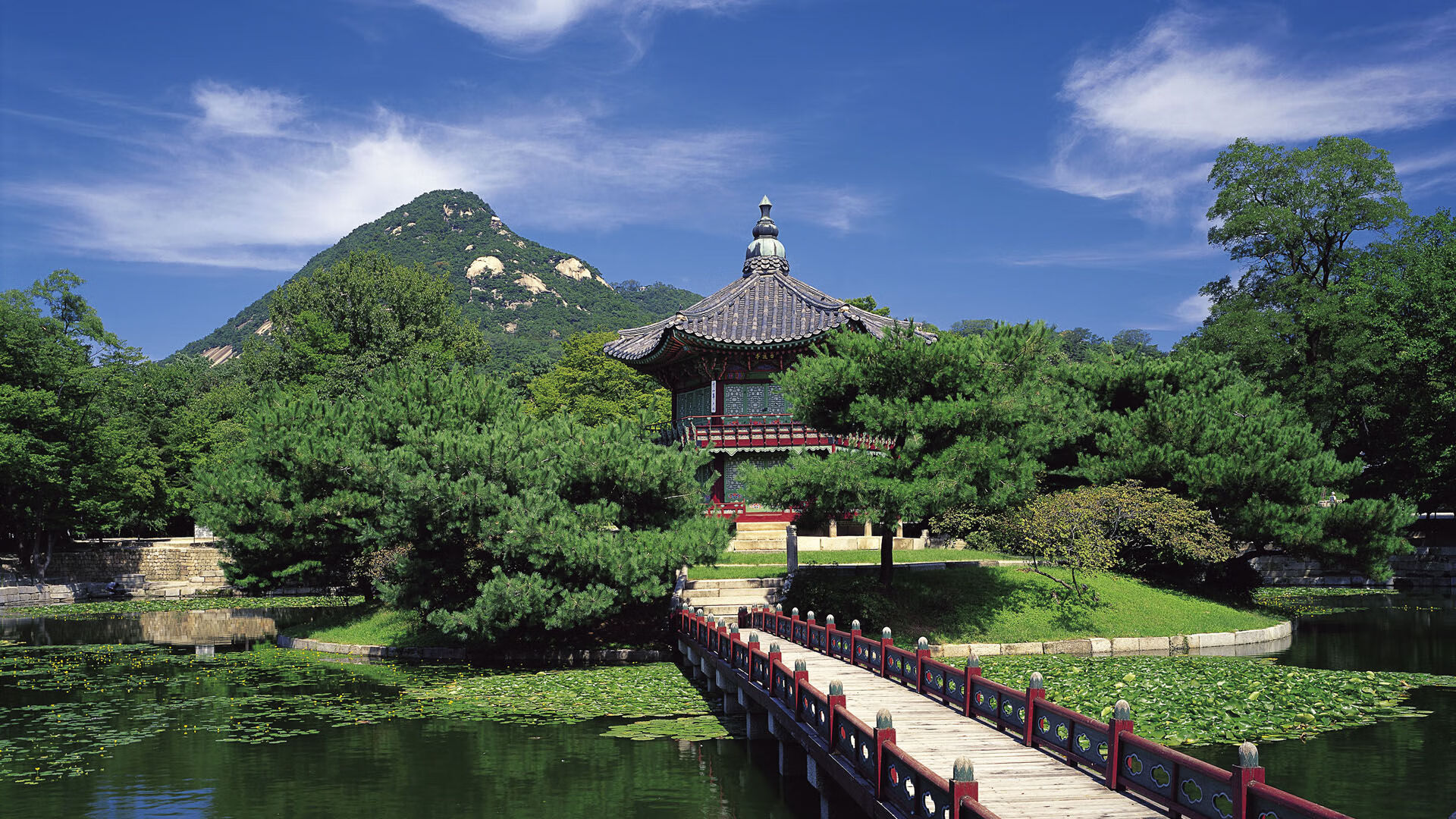 开云体育登录-攻防俱佳轰29分8板5帽！小贾伦持续制造杀伤成猛龙取胜奇才关键