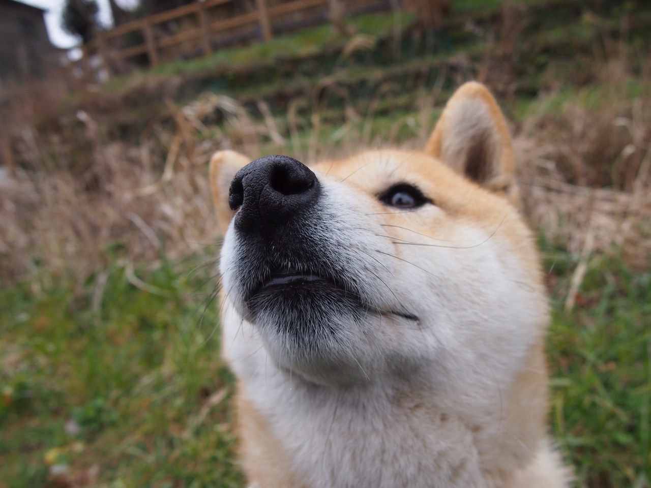 烈焰照孤星，洪流卷北境，当两种暴力美学在同一夜绽放