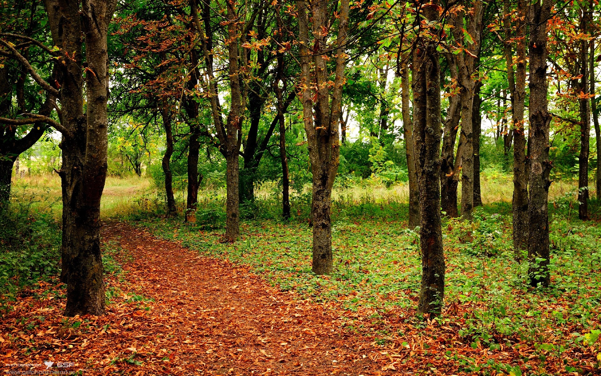 开云体育登录-降维打击，从约基奇冠军密码到北京队横扫吉林的当代篮球革命
