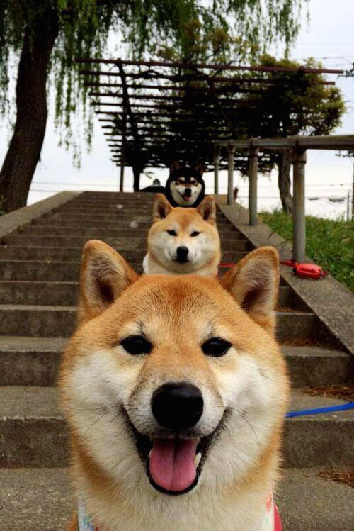 唯一追光,欧冠决赛夜,当世界静止于欧文的独舞