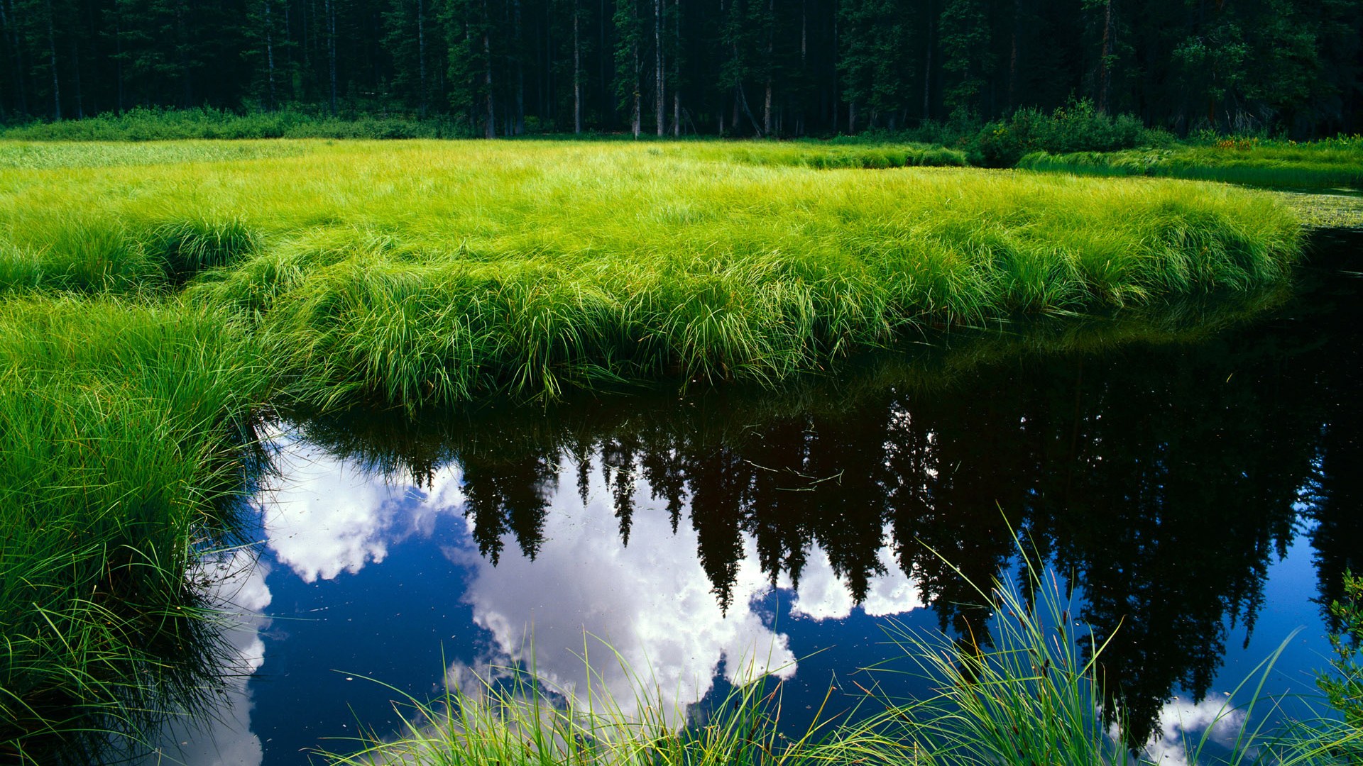 摩纳哥碾压美国，当足球魔术师格列兹曼在西决生死战接管比赛