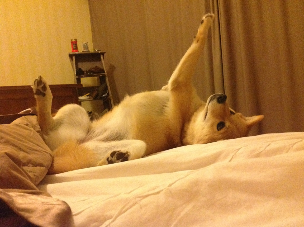 冰面指挥家，孔德的完美节奏如何击溃丹麦防线