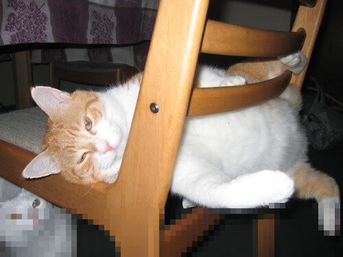 开云体育-两场加时，一种决绝，论领袖如何在时间的裂缝中塑造胜利