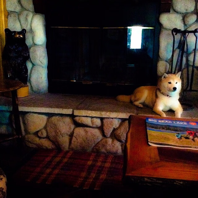 开云体育2026-从罗马的闪电战到世界杯风向标，速胜主义如何重塑现代足球