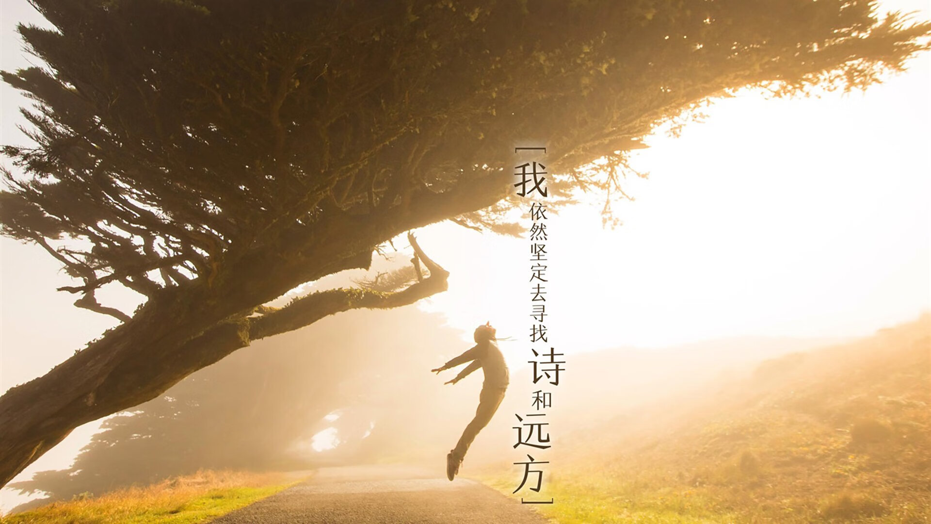 24小时奇迹夜，奥亚尔萨瓦尔1.97米天钩绝杀，南非92分36秒压哨改写历史