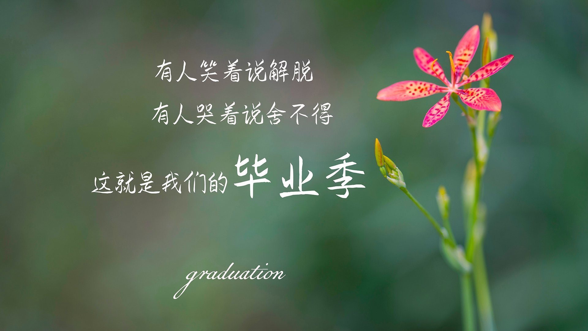 双重爆冷之夜,墨西哥热带风暴席卷巴西,孙兴慜领韩国太极虎撕碎H组秩序—2026世界杯最不可复制的戏剧性一夜