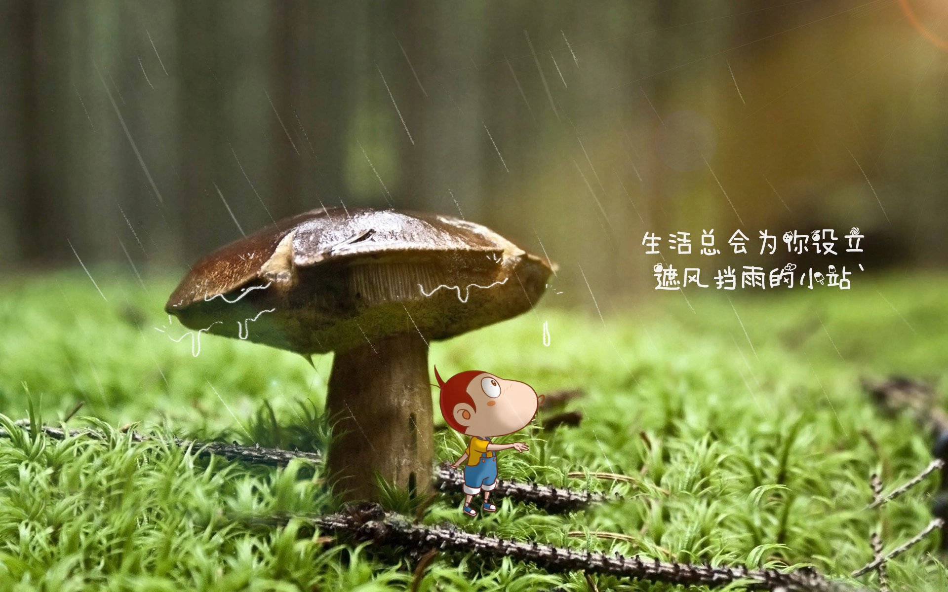 红魔咆哮,太极虎倒地,贝林厄姆独造绝杀,比利时从地狱到天堂