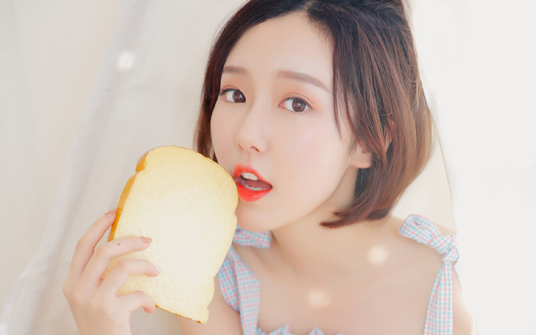 (提案)